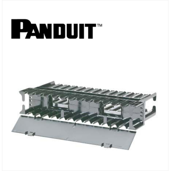 Panduit NetManager Horizontal Dual Sided Manager 2RU 9.7 in. Depth