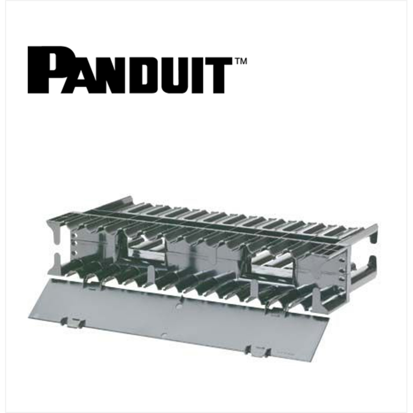 Panduit NetManager Horizontal Dual Sided Manager 2RU 9.7 in. Depth