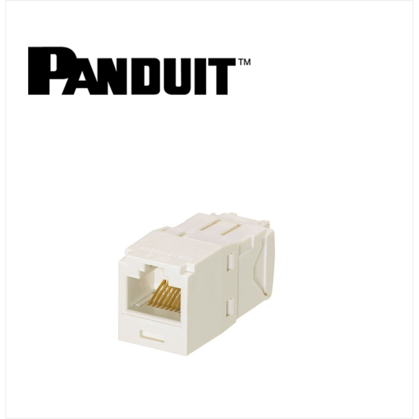 Panduit Mini-Com UTP RJ45 Cat 6  Jack Module AW