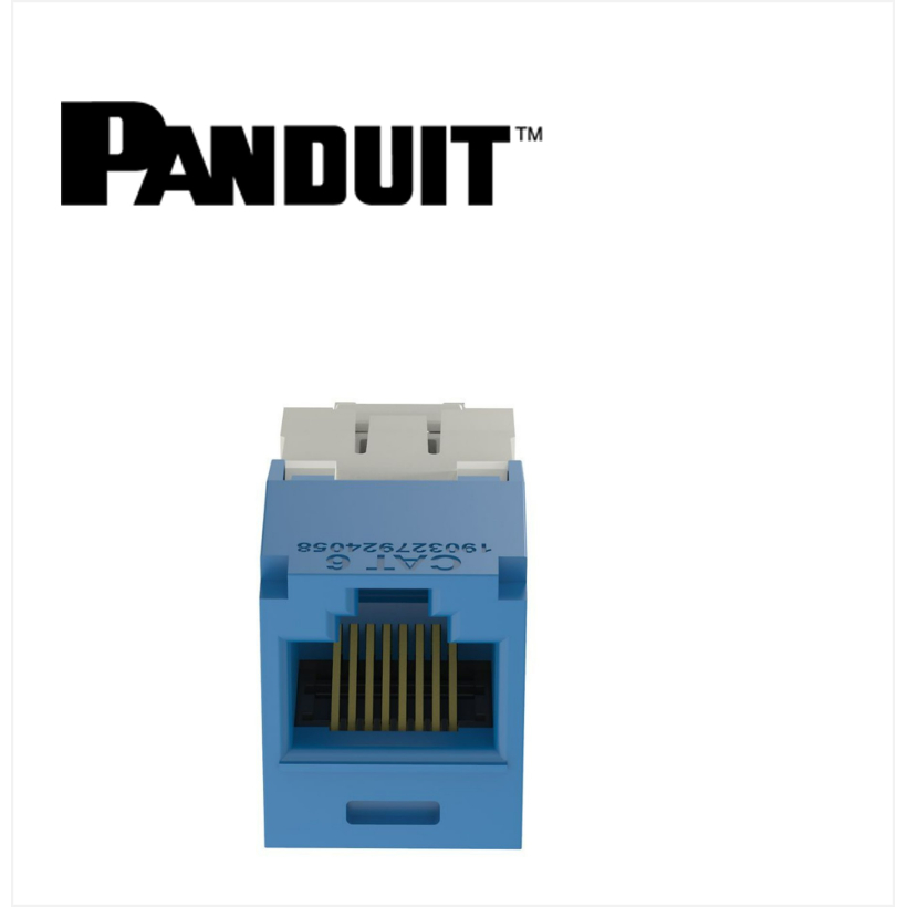 Panduit Mini-Com UTP RJ45 Cat 6  Jack Module Blue