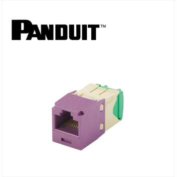 Panduit Mini-Com UTP RJ45 Cat 6  Jack Module Violet