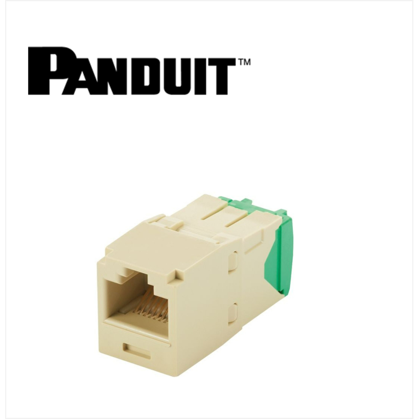 Panduit Mini-Com UTP RJ45 Cat 6  Jack Module Electric Ivory