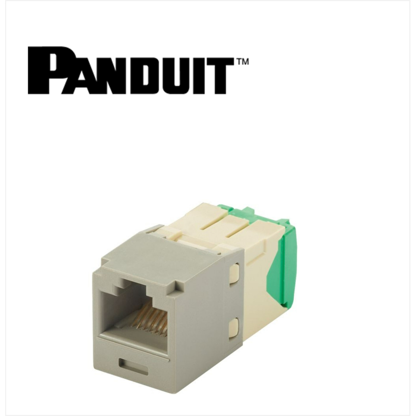 Panduit Mini-Com UTP RJ45 Cat 6  Jack Module Int'l Gray