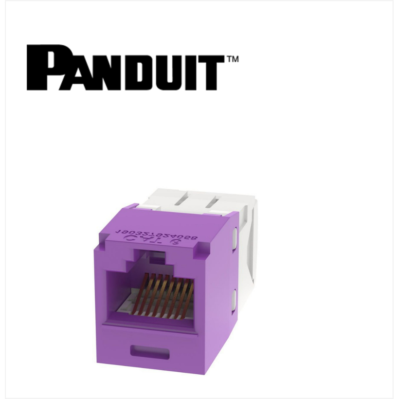 Panduit Mini-Com UTP RJ45 Cat 6  Jack Module Violet