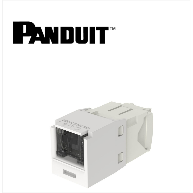 Panduit Mini-Com UTP RJ45 Cat 6 Dust protection  Jack Module AW