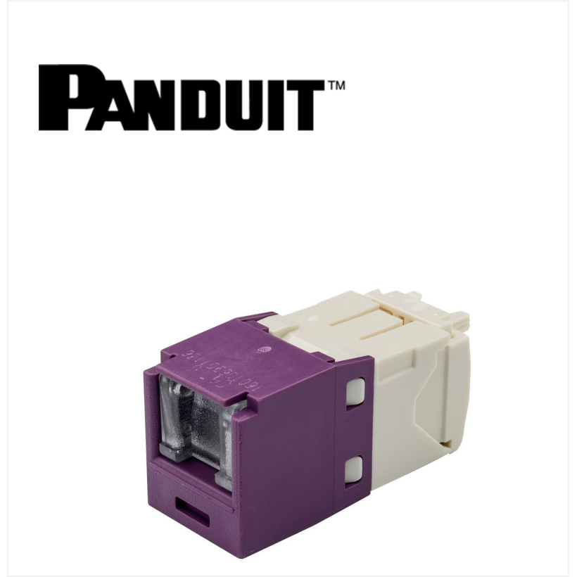 Panduit Mini-Com UTP RJ45 Cat 6 Dust protection  Jack Module Violet