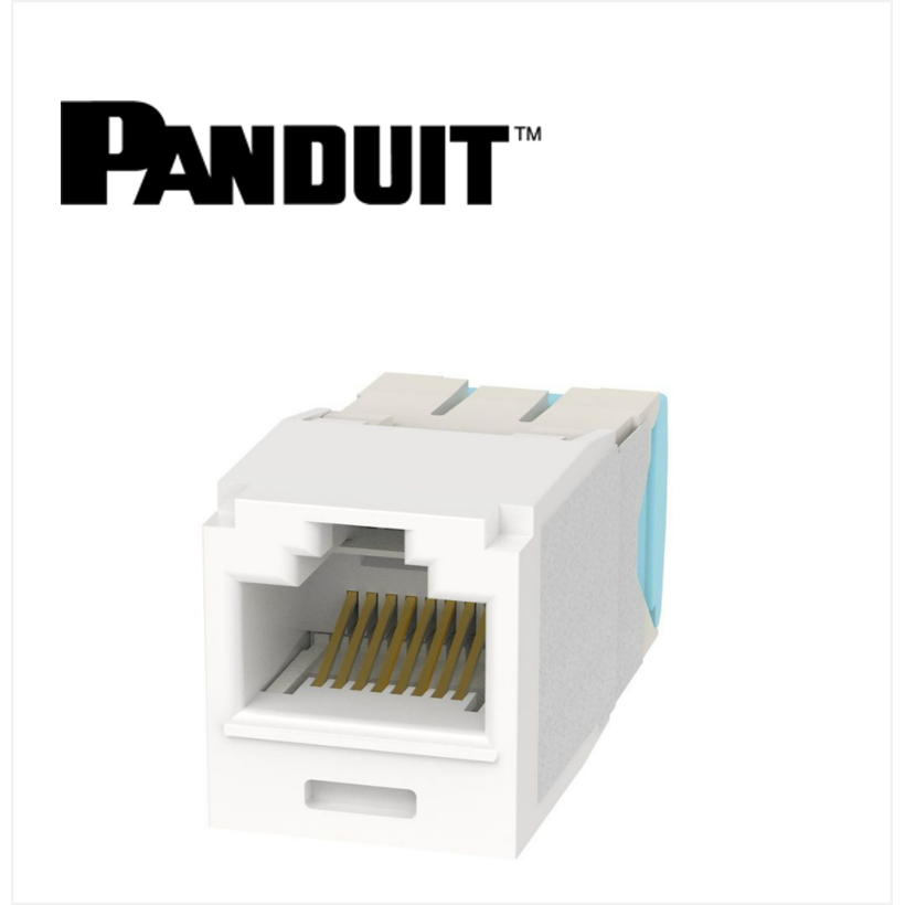 Panduit Mini-Com UTP RJ45 Cat 6A  Jack Module Arctic White