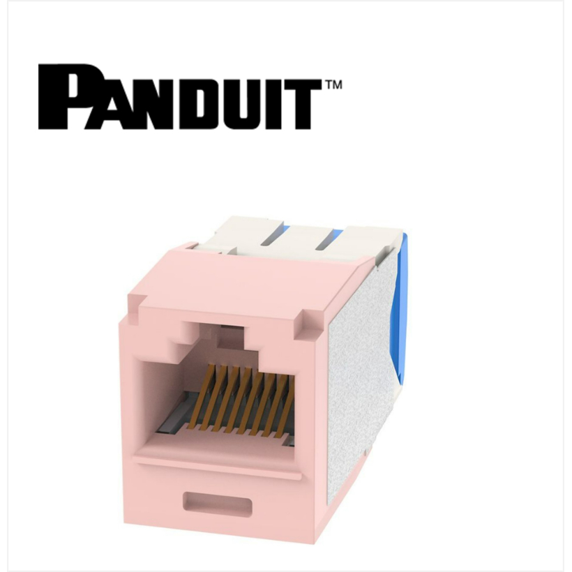 Panduit Mini-Com UTP RJ45 Cat 6A  Jack Module Pink