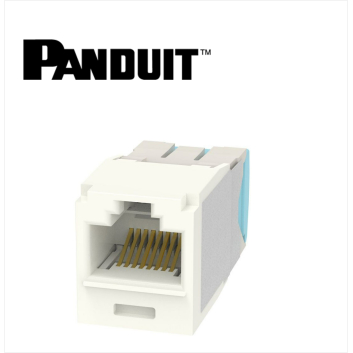 Panduit Mini-Com UTP RJ45 Cat 6A  Jack Module IW