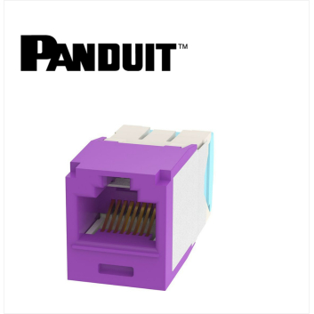 Panduit Mini-Com UTP RJ45 Cat 6A  Jack Module Violet