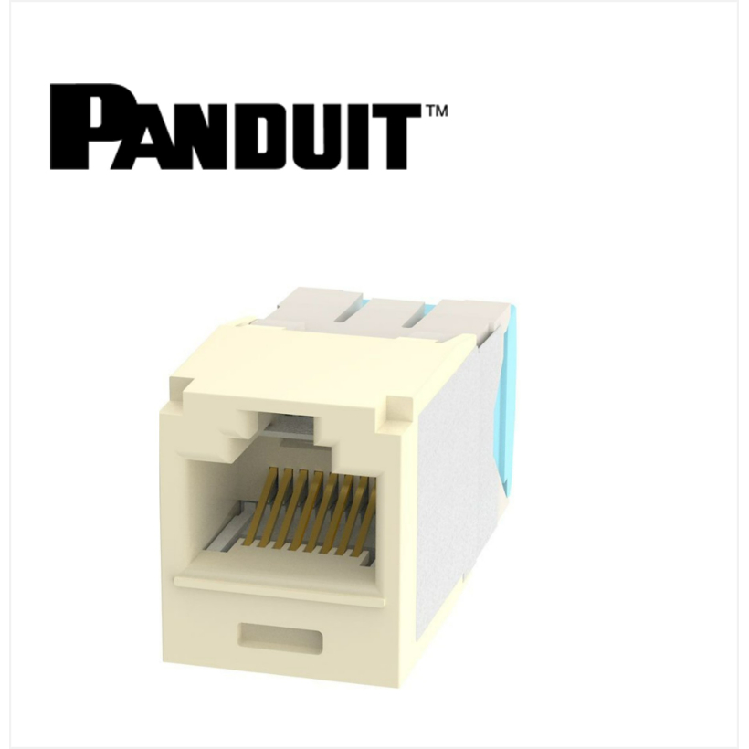 Panduit Mini-Com UTP RJ45 Cat 6A  Jack Module Electric Ivory