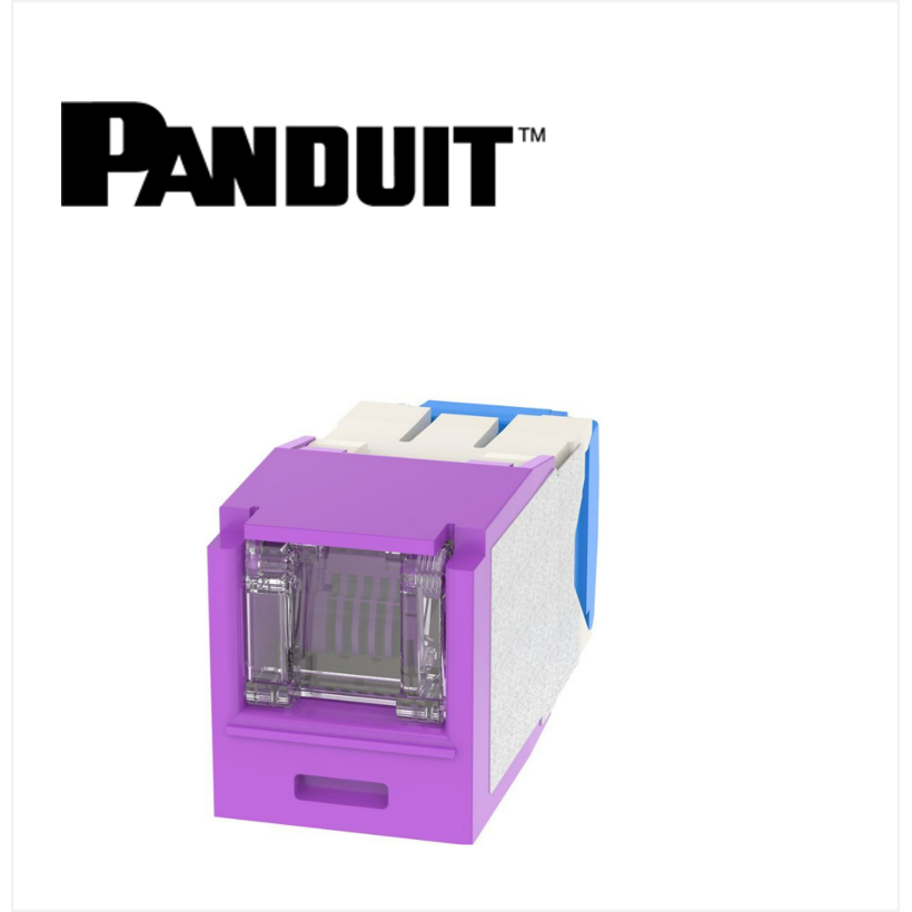 Panduit Mini-Com UTP RJ45 Cat 6A Dust protection  Jack Module Violet